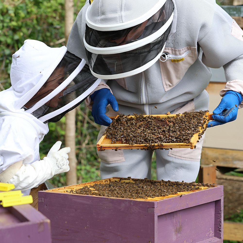 A description of my image.