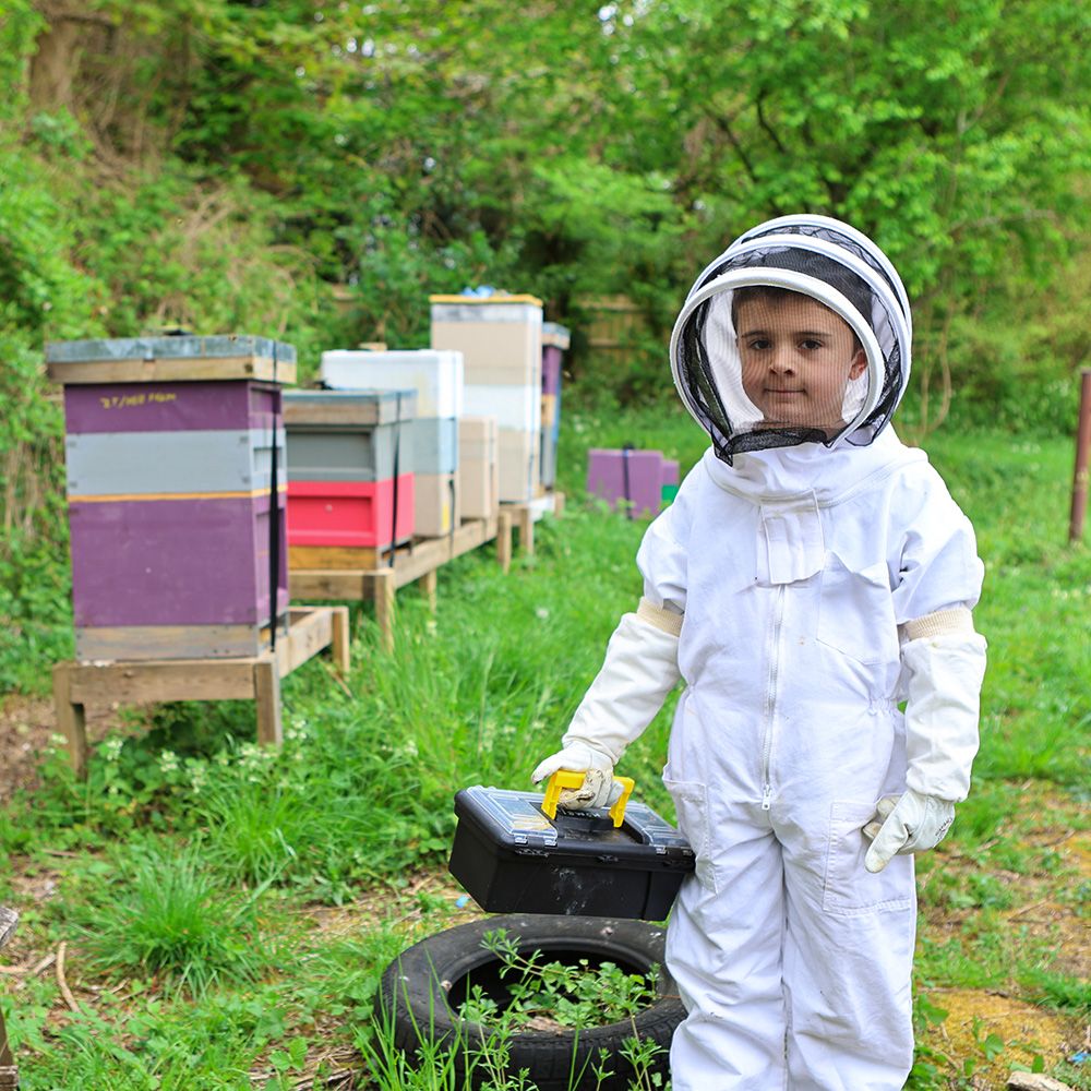 A description of my image.